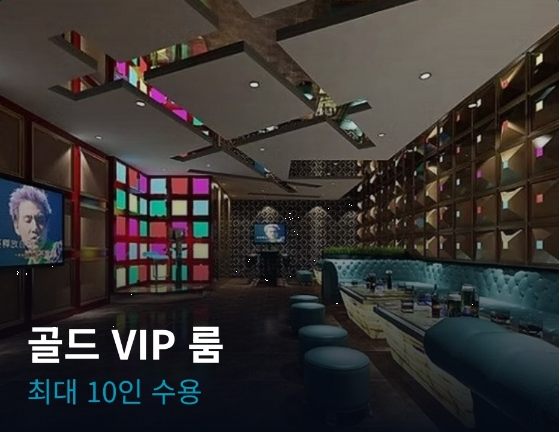 골든 VIP 룸 (최대 10인 수용)